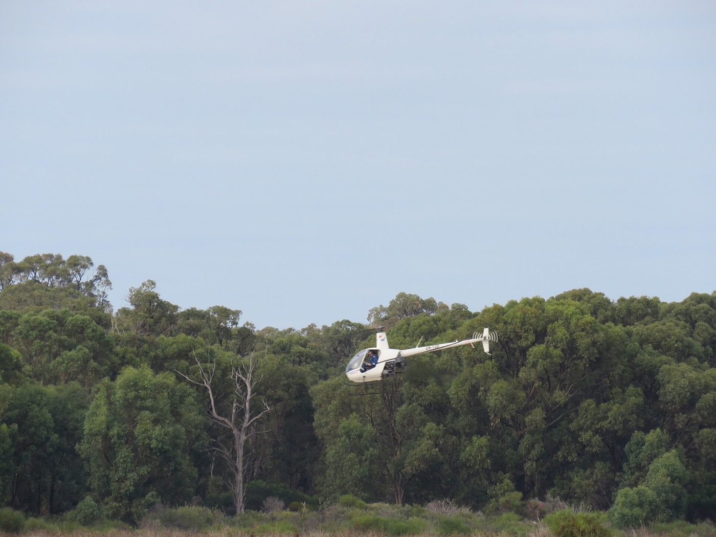 Robinson R22 — экстерьер