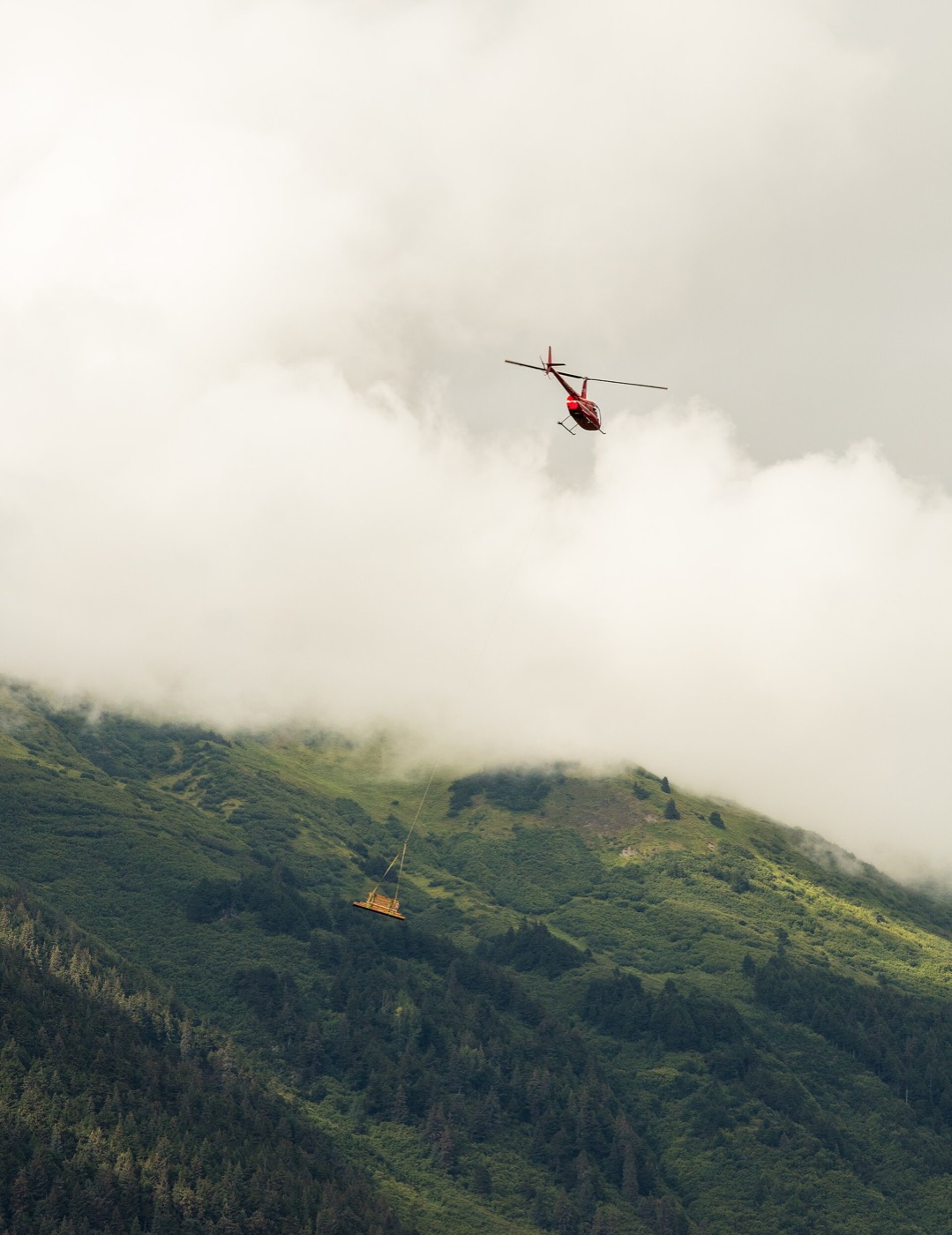 Robinson R44 — экстерьер