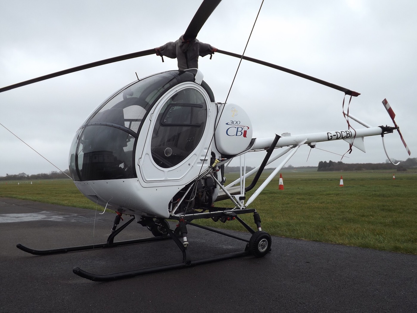 Schweizer S300 — экстерьер