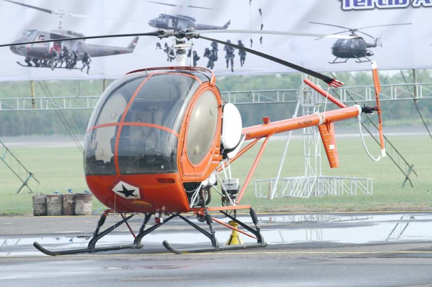 Schweizer S300 — экстерьер