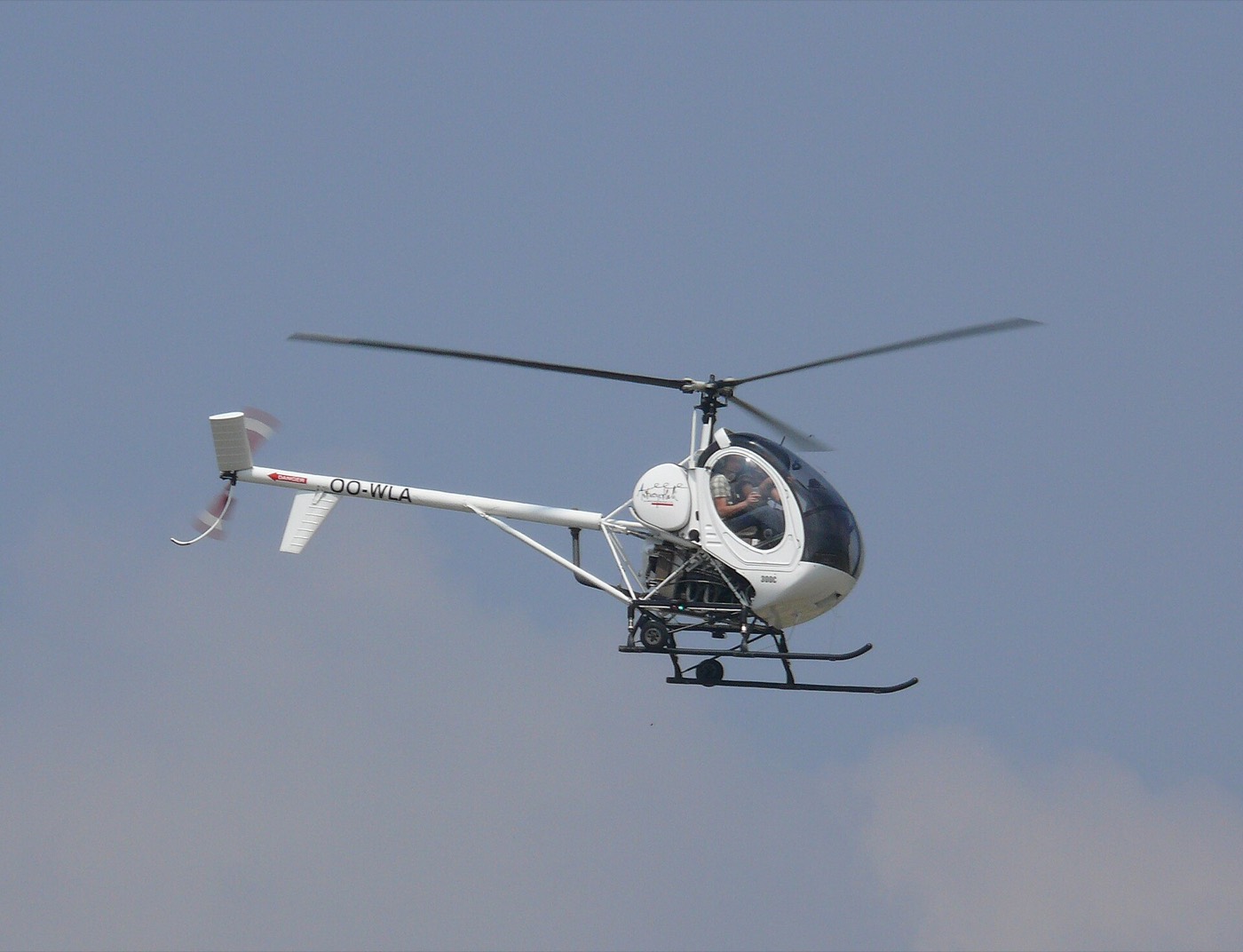 Schweizer S300 — экстерьер
