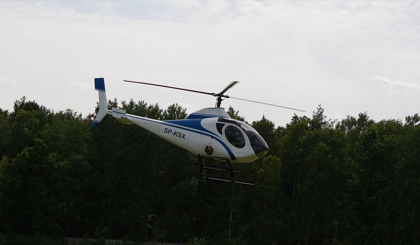 Schweizer S333 — экстерьер